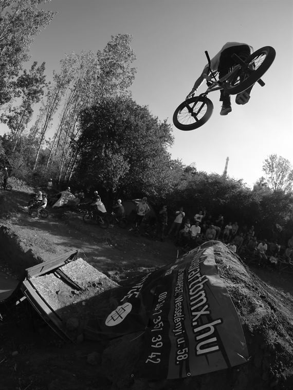 Forest Ramps galéria 18